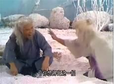 网络法王是什么意思